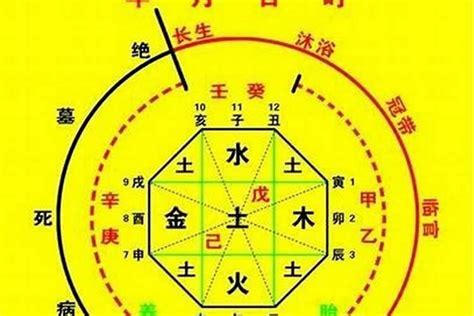 生八字|生辰八字算命、五行喜用神查詢（免費測算）